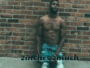 2inches_2much