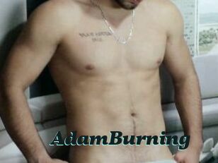 AdamBurning