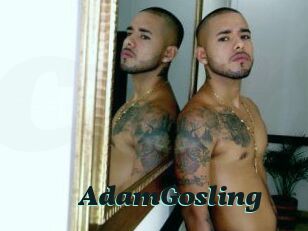 AdamGosling