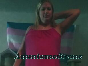 Anuntamedtrans