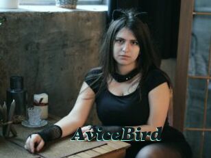 AviceBird