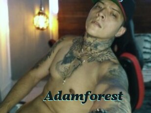 Adamforest
