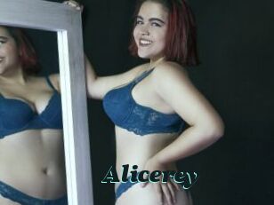Alicerey