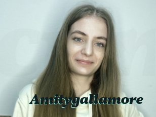Amitygallamore