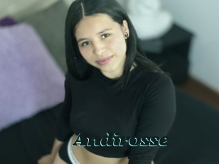 Andirosse