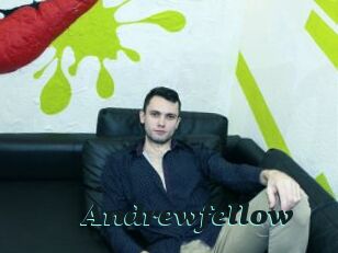 Andrewfellow