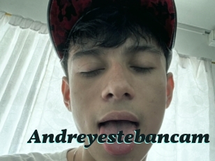 Andreyestebancam