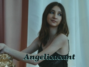 Angelicacant