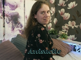 Anisacite