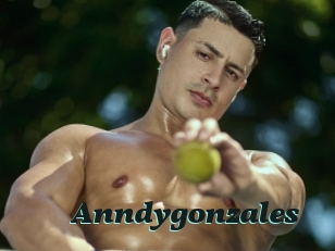 Anndygonzales