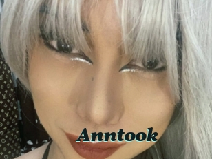 Anntook