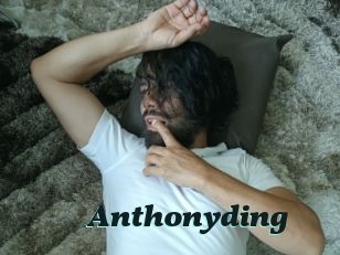 anthonyding Cumshots Videos