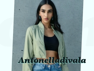 Antonelladivala