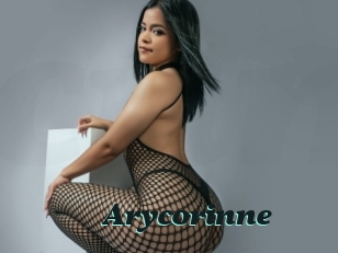 Arycorinne