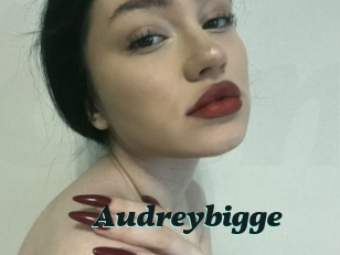 Audreybigge