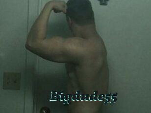 Bigdude55