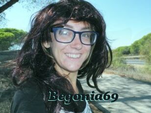 Begonia69