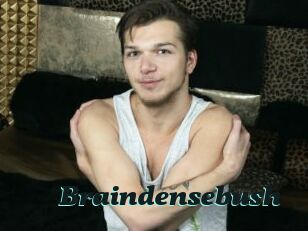 Braindensebush