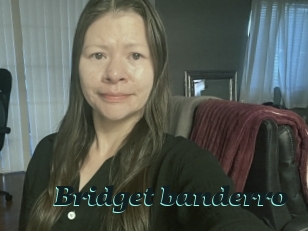 Bridget_banderro