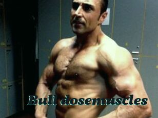 Bull_dosemuscles