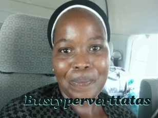 Bustyperverttatas