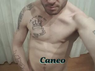 Caneo