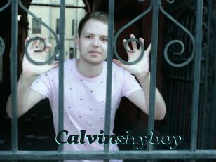Calvinshyboy