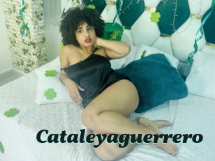Cataleyaguerrero