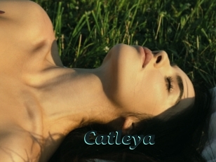 Catleya