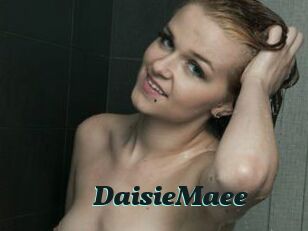DaisieMaee