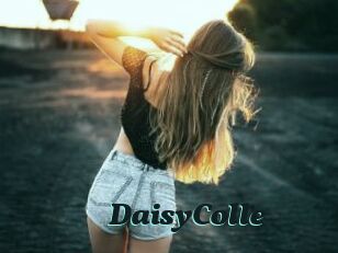 DaisyColle