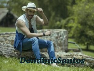 DomiinicSantos