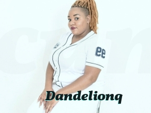 Dandelionq