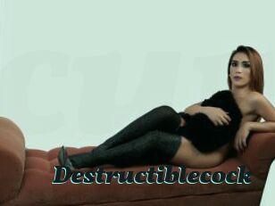 Destructiblecock