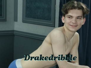 Drakedribble