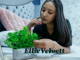 EllieVelvett Cumshots Videos