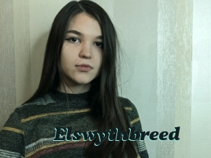 Elswythbreed