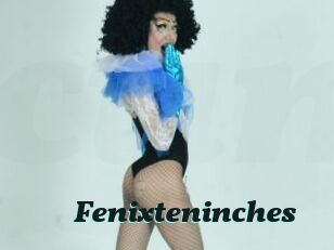 Fenixteninches