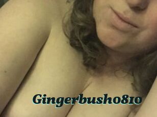 Gingerbush0810