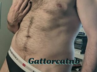 Gattorcatnb