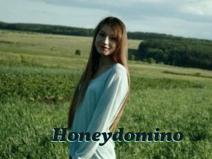 Honeydomino
