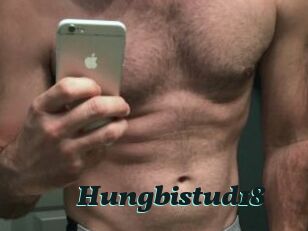 Hungbistud18