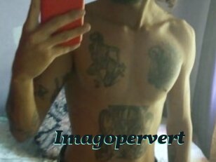 Imagopervert