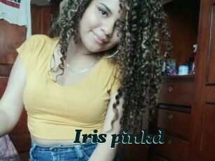 Iris_pinkd