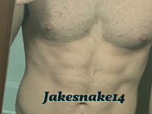Jakesnake14