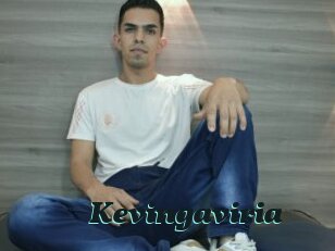 Kevingaviria