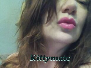 Kittymate