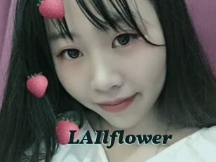 LAIlflower