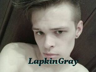 LapkinGray