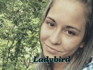 Ladybird